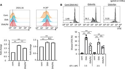 Palladium-Induced Temporal Internalization of MHC Class I Contributes to T Cell-Mediated Antigenicity